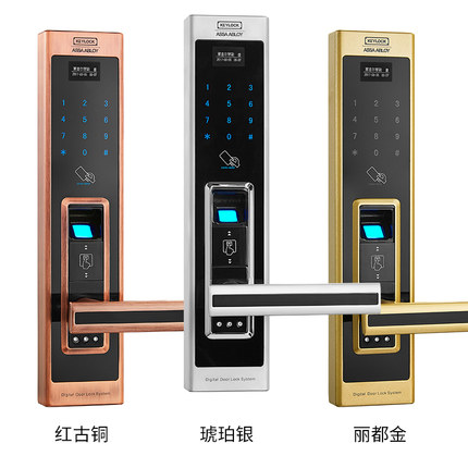 第吉尔智能锁电子大门锁